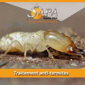 Traitement termites Auch Gers 32
