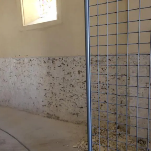 Décapage des murs - Traitement mérule