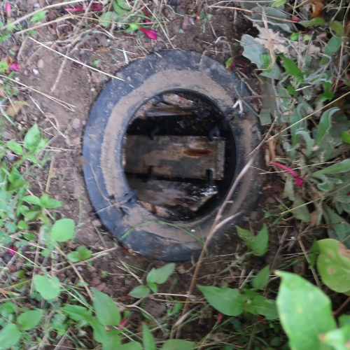 traitement termites par pièges appâts