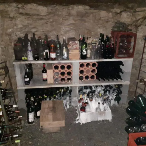 Mérule détecté dans une cave à Saint-Maxire en Deux-Sèvres