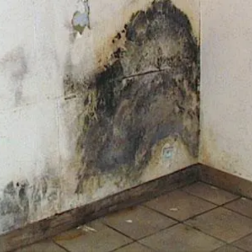 traitement Humidité et remontées capillaires