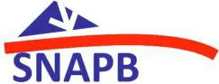 SAPA-SNAPB-Syndicat National des applicateurs de la préservation des bois : Termites, Charpente, Capricorne, Vrillettes, Lyctus, Mérule…