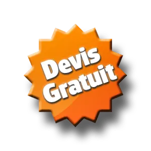 devis traitement anti-termites