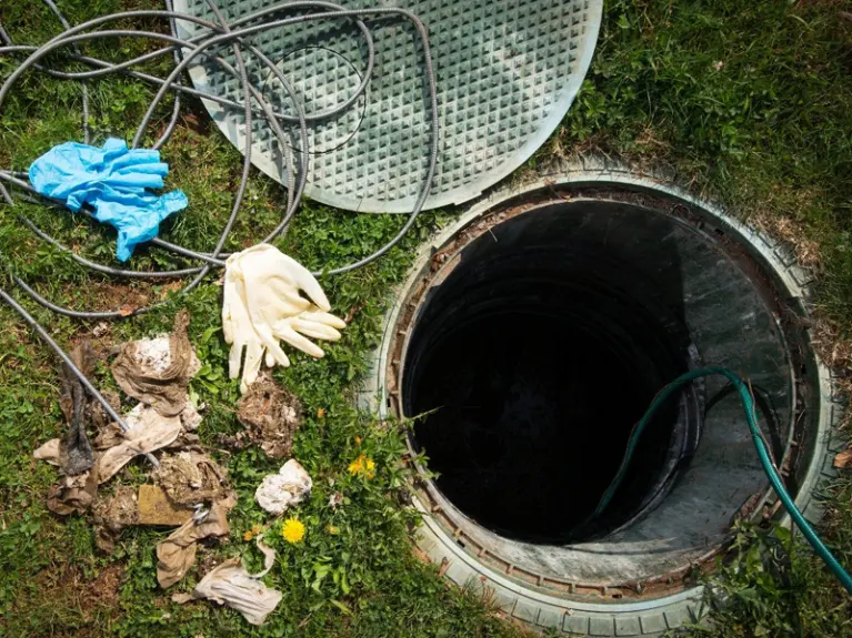 Assainissemnt simonneau entreprise assainissement Simonneau a détecté des termites à la Roche Sur Yon