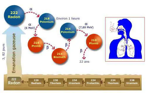 Origine du Radon (Source IRSN)