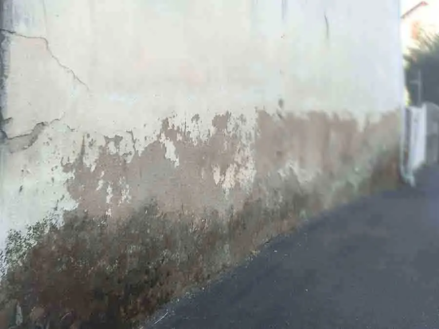 murs humides - infiltration en façade - Problème d’étanchéité
