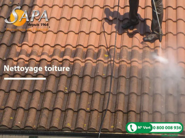 Nettoyage Toiture : Démoussage, Entretien et protection … SAPA spécialiste  de l'entretien de toiture - Hydrofugation