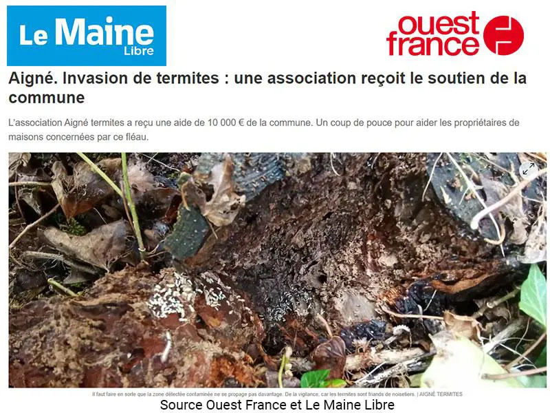 Termites RENNES: Traitement termites article Ouest France curatif sapa traitement.