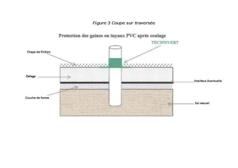 TECHNIVERT – Traitement termites - Coupe sur traversée