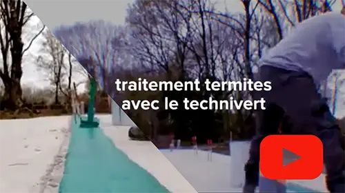 Traitement termites avec le Technivert