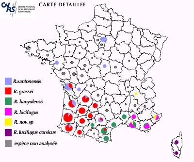 termites: carte repartition des espèces en france cnrs