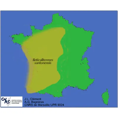 termites: Carte de la répartition des termites : Reticulitermes Santonenis en France.