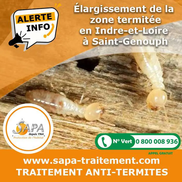 TErmites à SAINT-GENOUPH en INDRE-et-LOIRE