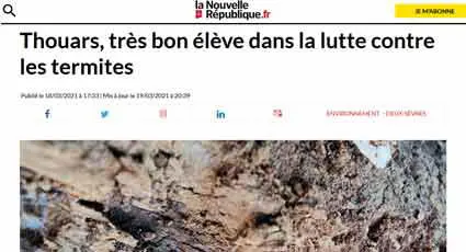 Thouars, très bon élève dans la lutte contre les termites