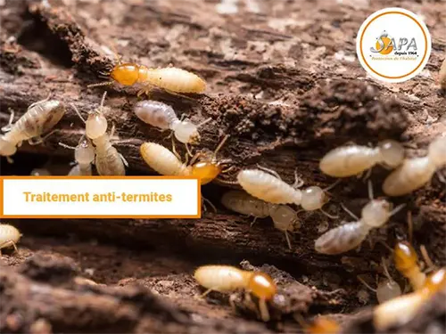 traitement anti-termites préventif, Traitement chimique, Traitement insecticide