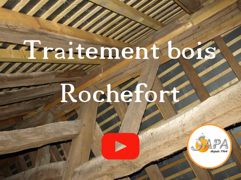 traitement bois rochefort