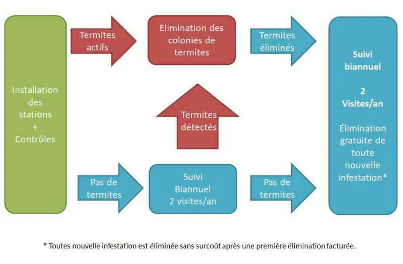 Traitement termites par pièges - logique du traitement